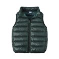 thumbnail image 1 of Fmbrln Boys and Girls Puffer Vest Full Zip Up Stand Collar Sleeveless Quilted Jackets Fall Winter Thickened Warm Coat, Sizes 2-9Y, 1 of 5