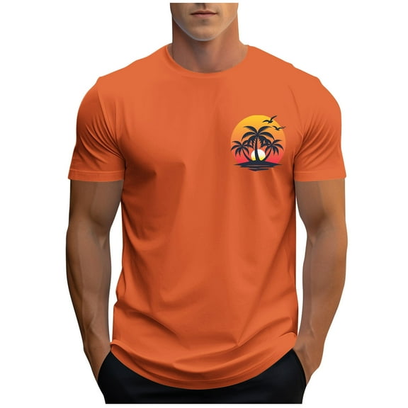 Fmbrln T-shirts for Men, Summer Crew Neck Short Sleeve Tops Hawaiian Beach Graphic Tees