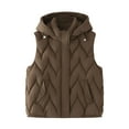 thumbnail image 1 of Fmbrln Womens Fall Winter Hooded Puffer Vest Full Zip Up Stand Collar Sleeveless Quilted Vest Fashion Casual Padded Warm Jackets with Pockets, 1 of 5
