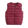 thumbnail image 1 of Fmbrln Womens Plus Size Puffer Vest Full Zip Up Sleeveless Jackets Fall Winter Padded Warm Lightweight Coat with Pockets, 1 of 4