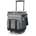 thumbnail image 1 of Fmxomd Cooler with Wheels and Handle 35L Rolling Cooler Portable Collapsible Soft Cooler Bag with Wheels - Leak-proof Insulated Wheeled Cooler for Beach Camping Patio Travel, 1 of 9