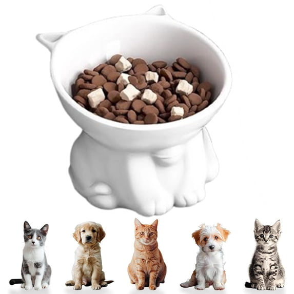Fmxomd Plastic Cat Bowl with Stand, Microwave & Dishwasher Safe, Cute Pet Food & Water Bowl for Cats and Small Dogs, White