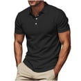 thumbnail image 1 of Fnnxeal Mens Polo Shirts, Casual Summer Button Classic Short Sleeve Black Polo Shirts for Men Size 2XL, 1 of 6