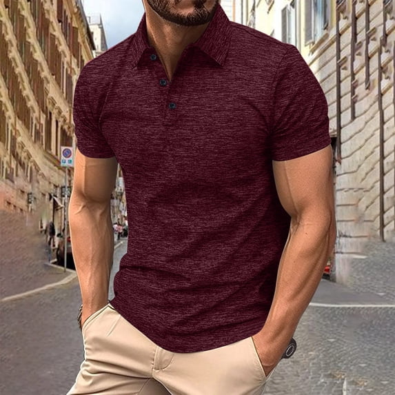 Fnnxeal Mens Polo Shirts Collared Short Sleeve Casual Solid Golf Summer Wine Polo Shirts for Men Size L