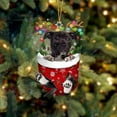 thumbnail image 1 of Fnochy Dog Christmas Tree Flat Ornament, Cute Puppy in Holiday Stocking, Festive Tree Decoration, 2024 Dog Christmas Tree Hanging Ornament, Adorable Dog Dressed As A Sock, 1 of 4