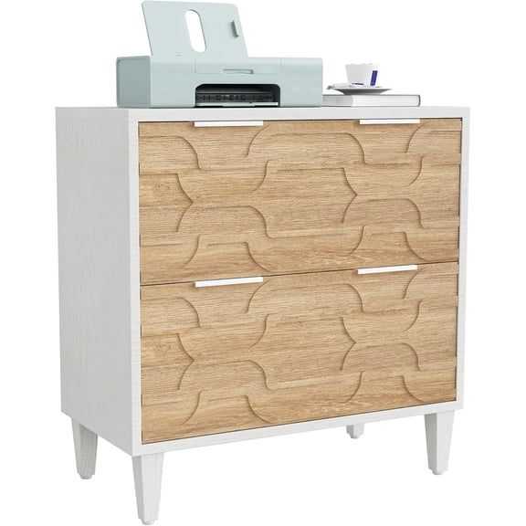 Fnova 2 Drawer Lateral File Cabinet, Filing Cabinet with Hanging Rods for Legal/Letter/A4 Folders, Modern Office Storage Organizer with Printer Stand, Home Office Furniture