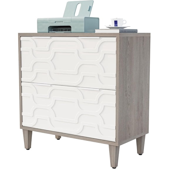 Fnova 2 Drawer Lateral File Cabinet, Filing Cabinet with Hanging Rods for Legal/Letter/A4 Folders, Modern Office Storage Organizer with Printer Stand, Home Office Furniture