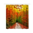 thumbnail image 1 of Fnyoxu Printed Shower Curtain Polyester and Mildew-proof Bathroom and Mildew-proof Partition Curtain 150X180CM, 1 of 2