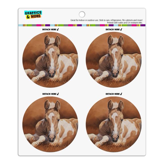 Foal Baby Horse New Paint Refrigerator Fridge Locker Vinyl Circle Magnet Set