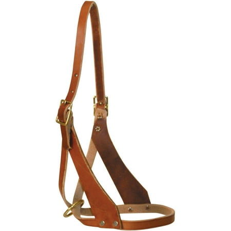 Foal Figure 8 Halter