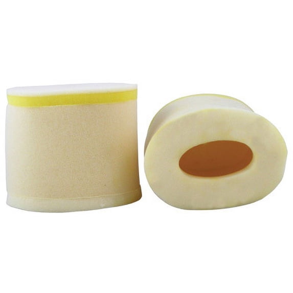 Foam Air Filter