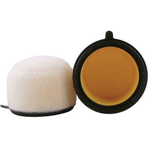 Foam Air Filter