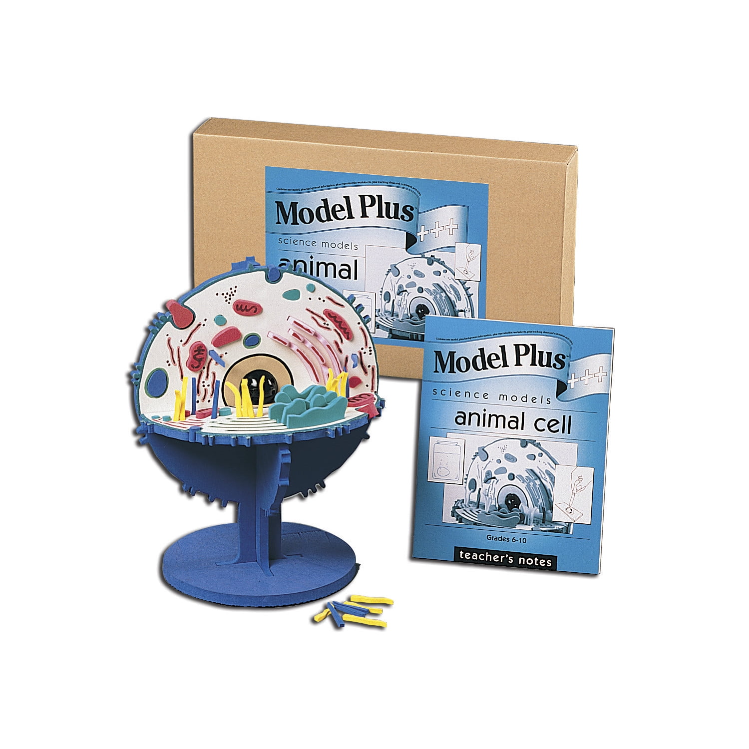 SI MANUFACTURING Foam Animal Cell Model