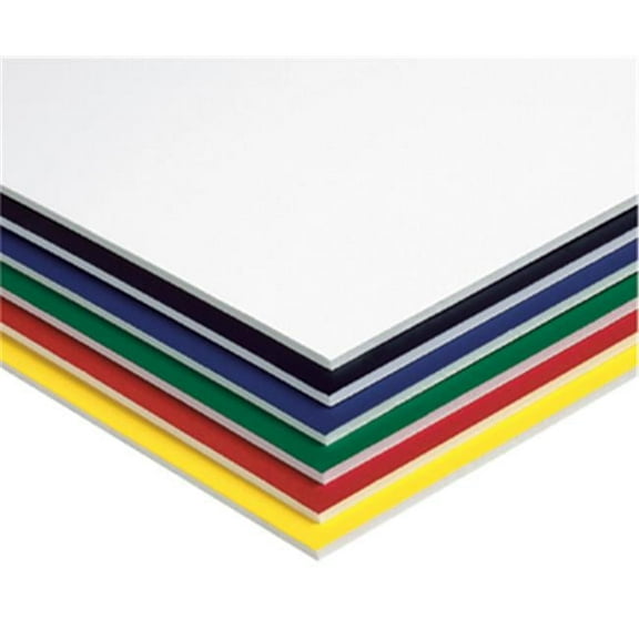 Foam Bd 20X30 Asst 10Ct 1