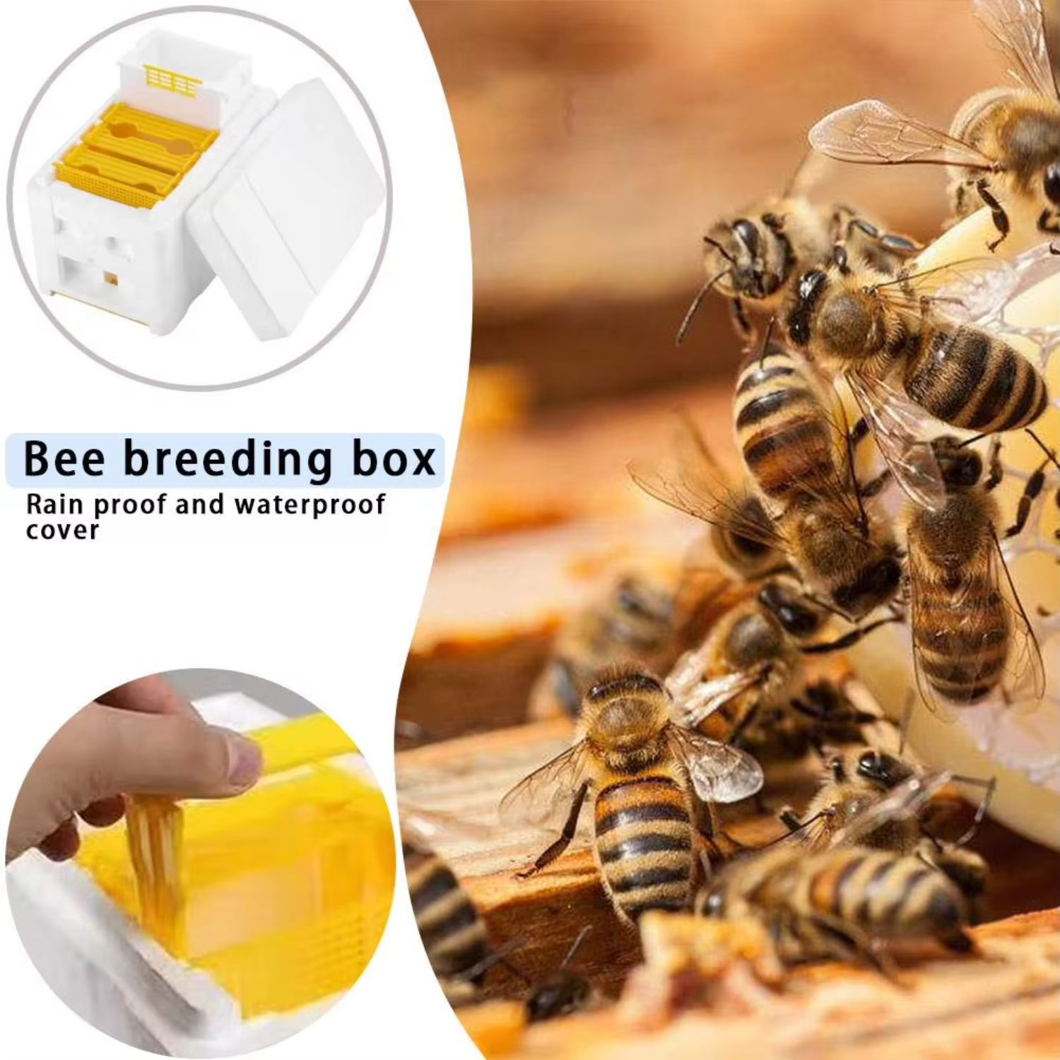 Foam Beehive King Box Premium Pollination Boxes for Beekeeping