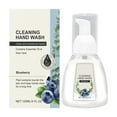 Foam Blueberry Flavor 120ml Clean Soothe Moisturize Decontaminate And