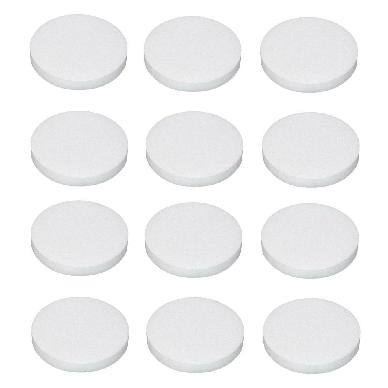 Package of 12 Flat Round 10 Styrofoam Discs for Crafting, Florals, and Pro  