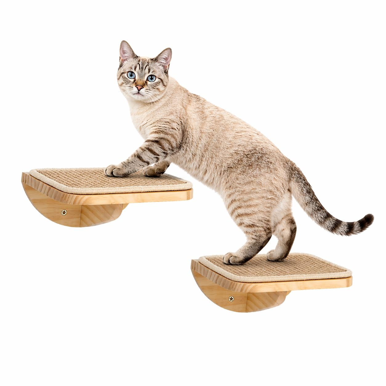 Foam/Felt-Wood 2 Steps Wall Mounted Cat Steps