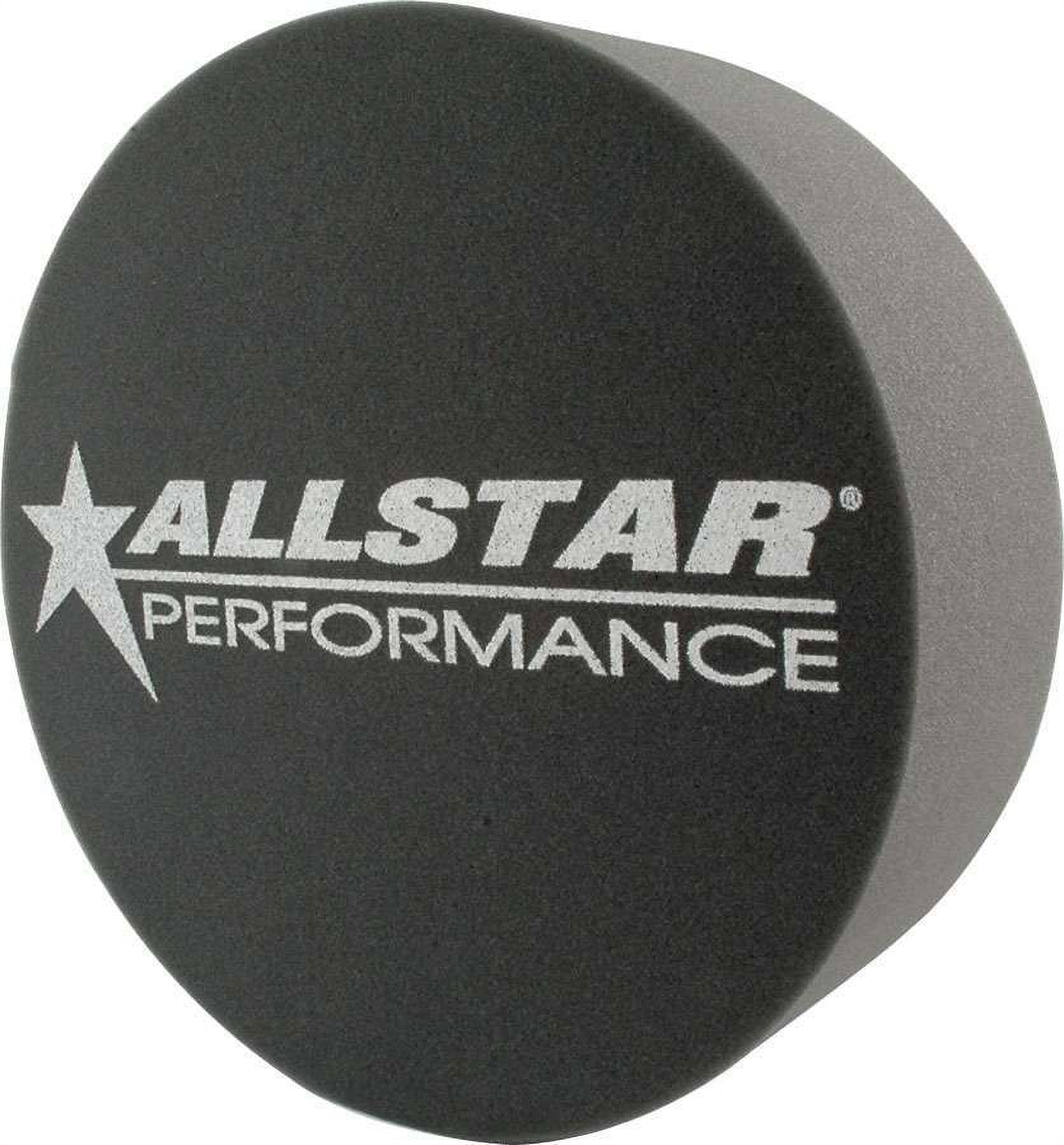 Allstar Foam Mud Plug Purple 3in Allstar Foam Mud Plug Purple 3in
