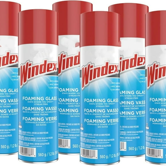 Foaming Glass Cleaner, Fresh, 20 oz Aerosol Spray, 6/Carton