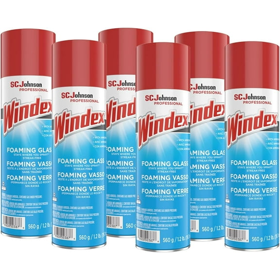 Foaming Glass Cleaner, Fresh, 20 oz Aerosol Spray, 6/Carton (333813)