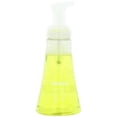 thumbnail image 1 of Foaming Hand Wash, Lemon Mint Foaming, 10 oz Pump Dispenser, 1 of 1