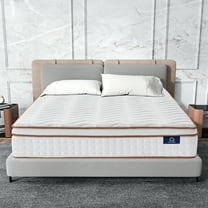 Focalsweet 10" Queen Hybrid Mattress with Euro Top for Adult and Kids