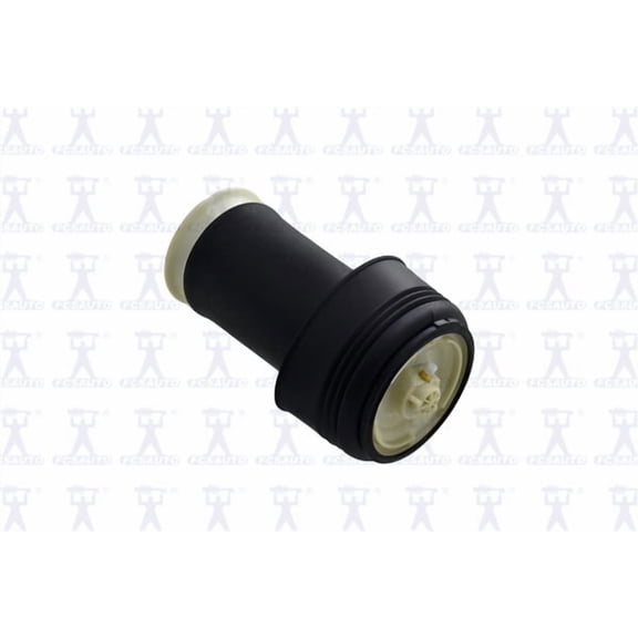Focus Auto Parts Air Spring