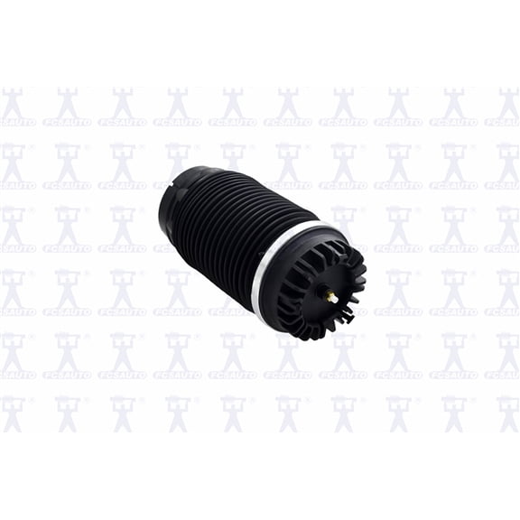 Focus Auto Parts Air Spring