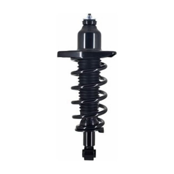 Shocks and Struts