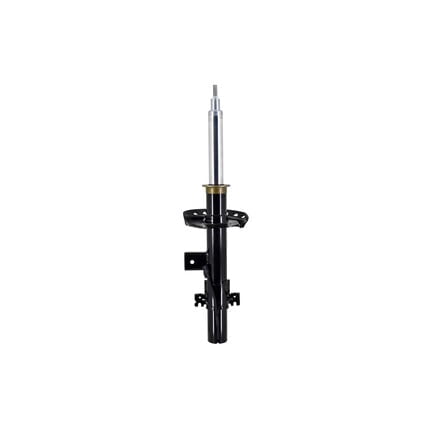 Shocks and Struts