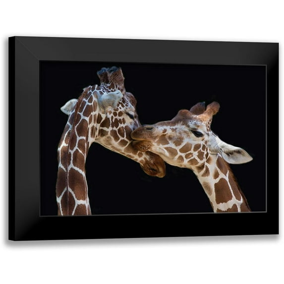 Foeger, Manfred 18x13 Black Modern Framed Museum Art Print Titled - The Kiss