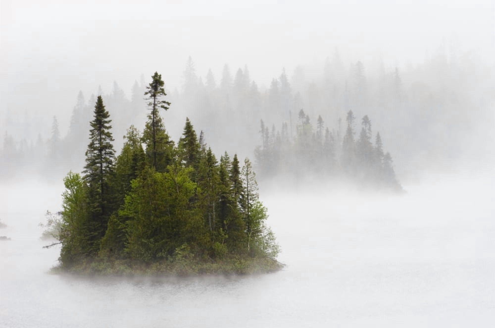 Fog And Rain Around An Island In Fenton Lake Superior Provincial Park Ontario Canvas Art - Mike Grandmaison Design Pics (18 x 12)