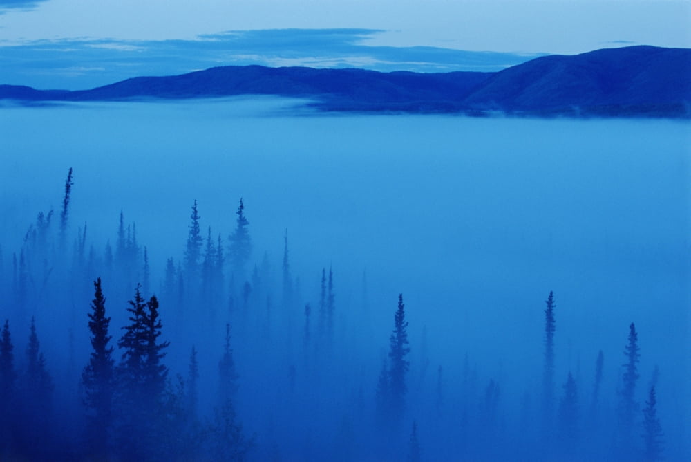 Fog At Dawn Stewart Crossing Yukon Canvas Art - Mike Grandmaison Design Pics (18 x 12)