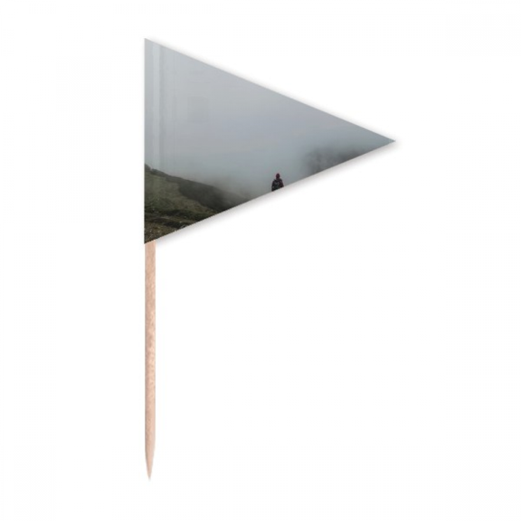 Fog Clouds Mountain Nature Travel Toothpick Triangle Cupcake Toppers Flag
