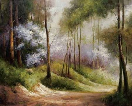 Fog Embraced Forest Canvas Art - Combe (24 x 30)