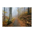 thumbnail image 1 of Fog Foliage No. 2 - Virginia Photography Unframed Wall Art Print 24 x 36 inches, 1 of 7