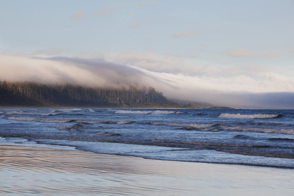 Fog Forms Over The Temperate Rainforest Along Long Beach In Pacific Rim National Park Near Tofino British Columbia Canada Canvas Art - Deddeda  Design Pics (38 x 24)