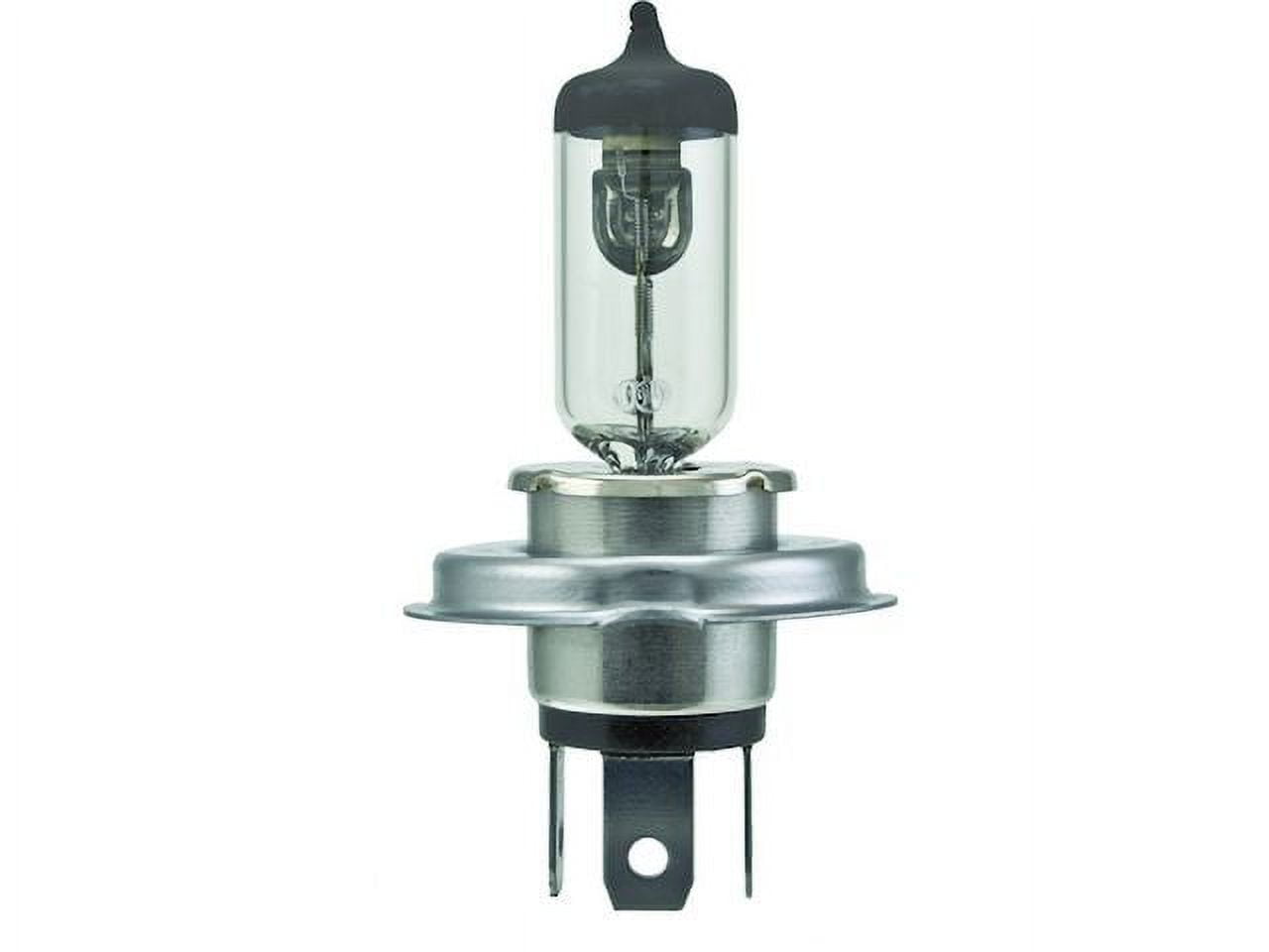 Fog Light Bulb - Compatible with 2003 - 2006 INFINITI G35 Sedan 2004 ...
