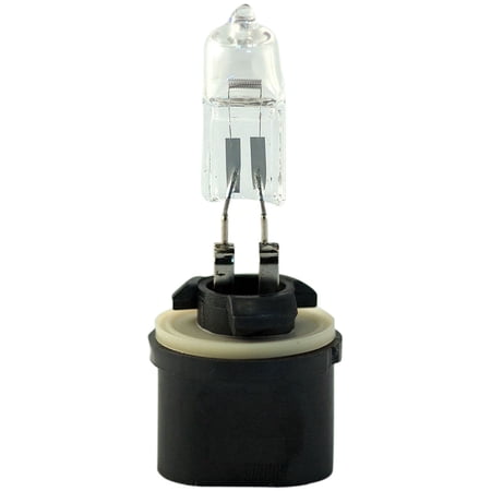 Fog Light Bulb