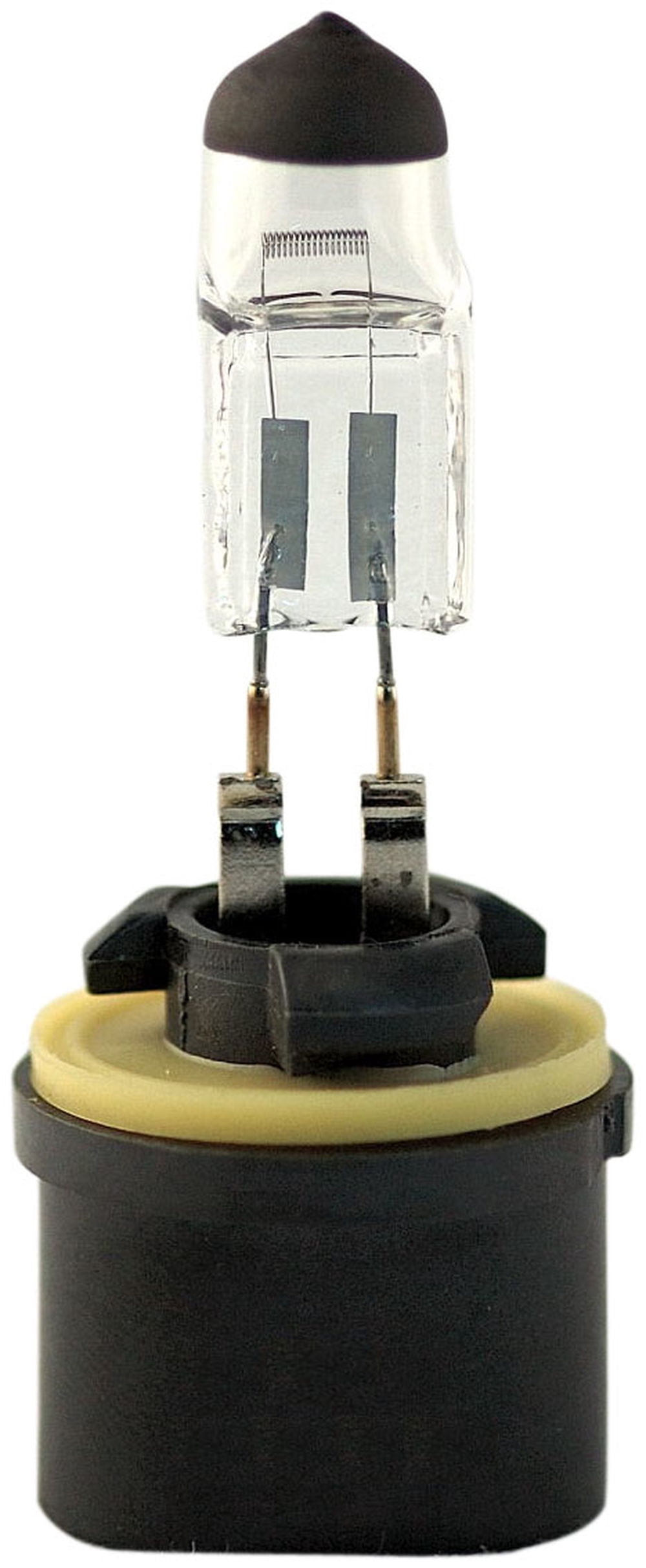 Fog Light Bulb