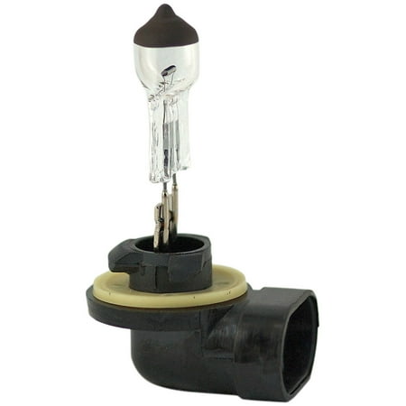 Fog Light Bulb