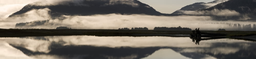 Fog And Mist Hang Over Mendenhall Wetlands & Mendenhall River Near Juneau In The Tongass National Forest Of Southeast Alaska Canvas Art - John Hyde  Design Pics (29 x 6)