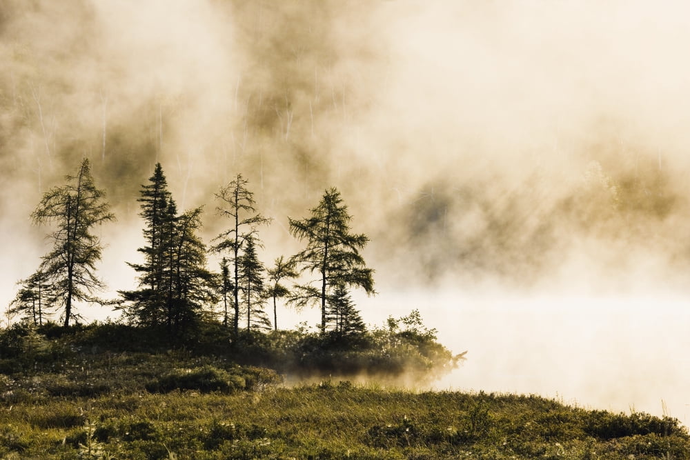 Fog Over Lac Roland At Sunrise Reserve Faunique La Verendrye Outaouais Region Quebec Canvas Art - Yves Marcoux Design Pics (17 x 11)