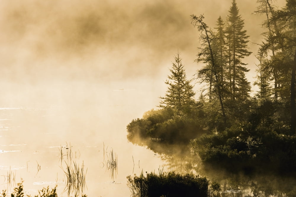 Fog Over Lac Roland At Sunrise Reserve Faunique La Verendrye Outaouais Region Quebec Canvas Art - Yves Marcoux Design Pics (34 x 22)