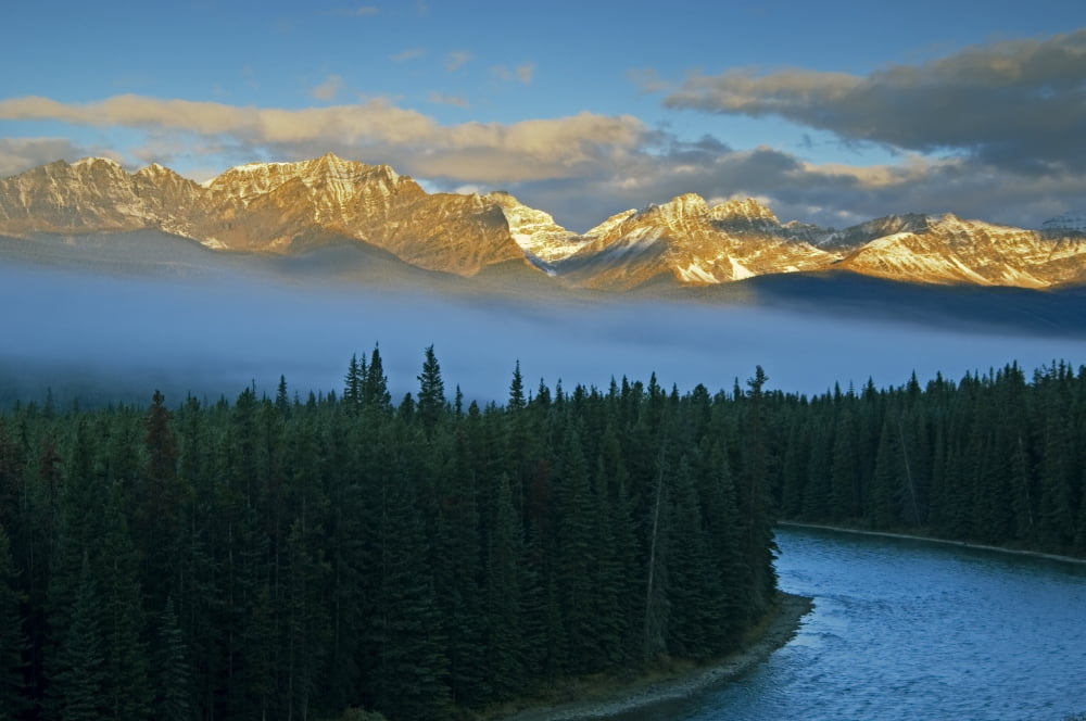 Fog Over Trees Bow River Banff National Park Alberta Canvas Art - Mike Grandmaison Design Pics (18 x 12)