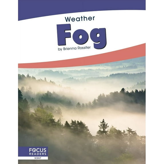 Fog (Paperback)