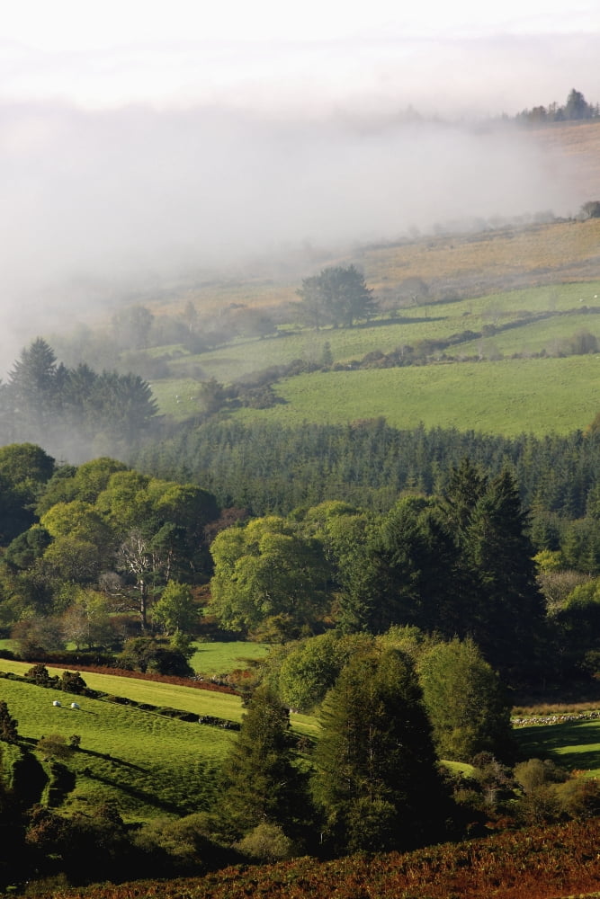 Fog Rolling Into Nire Valley Clonmel County Tipperary Ireland Canvas Art - Trish Punch Design Pics (24 x 38)