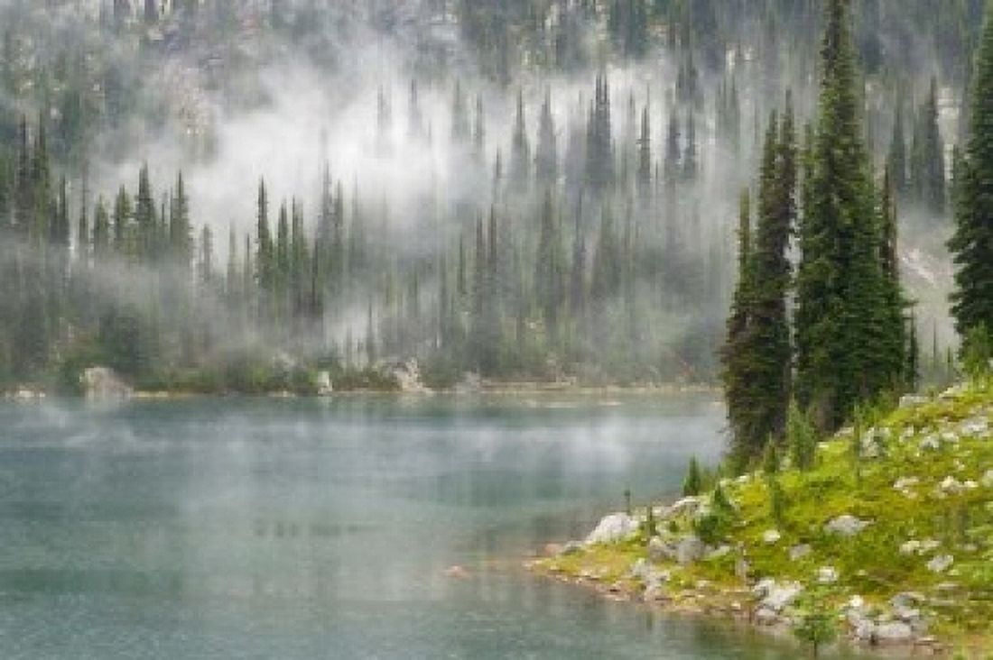 Fog and Rain on Lake Eva Revelstoke National Park British Columbia Canada Canvas Art - Jaynes Gallery DanitaDelimont (36 x 24)