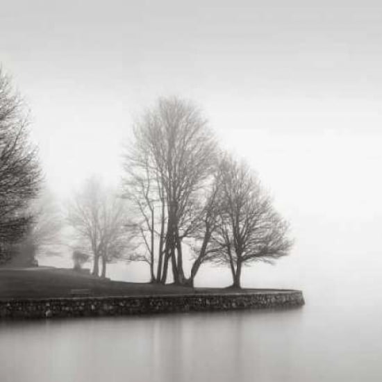 Fog and Trees at Dusk Canvas Art - LSH (24 x 24)